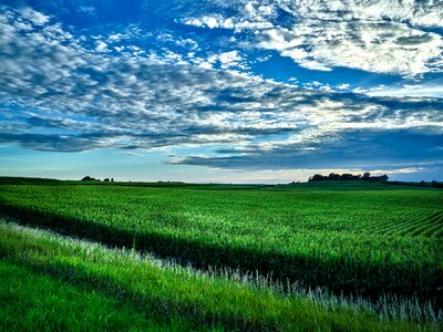 Crop agriculture farm photo