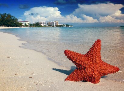 Nassau sea tropical