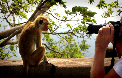 Close photograph lens