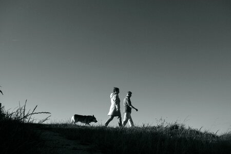 Walking outdoor couple walking photo