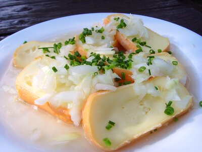 Brick cheese cheese with music onions photo