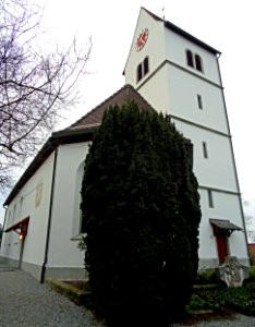 UttwilKircheFroschpersp
