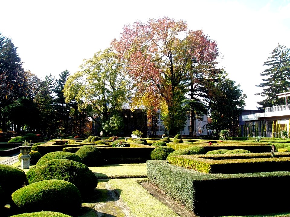 Utsunomiya-Univ-FrenchGarden-2011112002