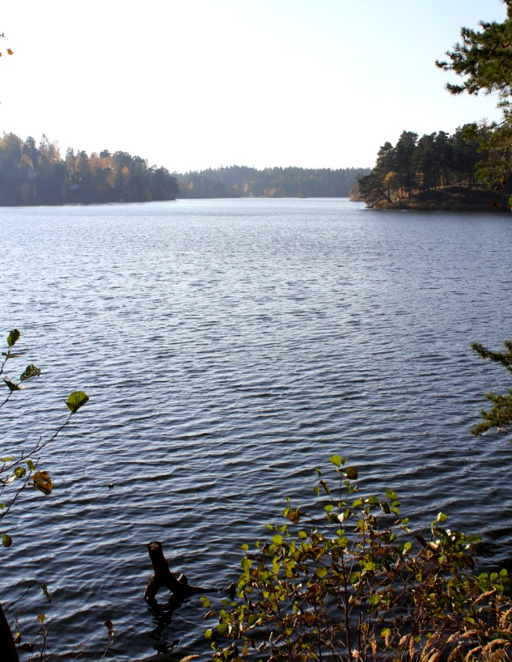 Uttran, Salem