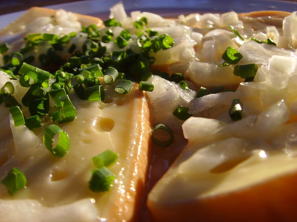 Brick cheese music onions