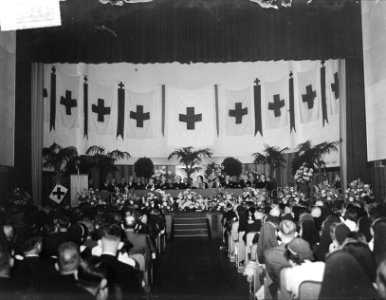 Utrechts congres Groene kruis, Bestanddeelnr 904-1882