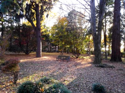 Utsunomiya-Univ-English-Style-Garden-2018112401