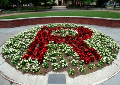 UU Rutgers University flowers form a giant R College Avenue campus
