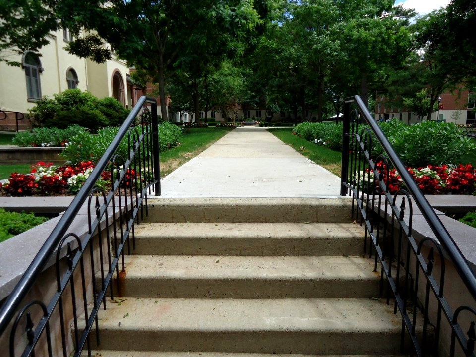 UU Rutgers University stairs and pathway with trees and buildings College Avenue campus