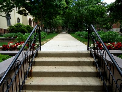 UU Rutgers University stairs and pathway with trees and buildings College Avenue campus photo