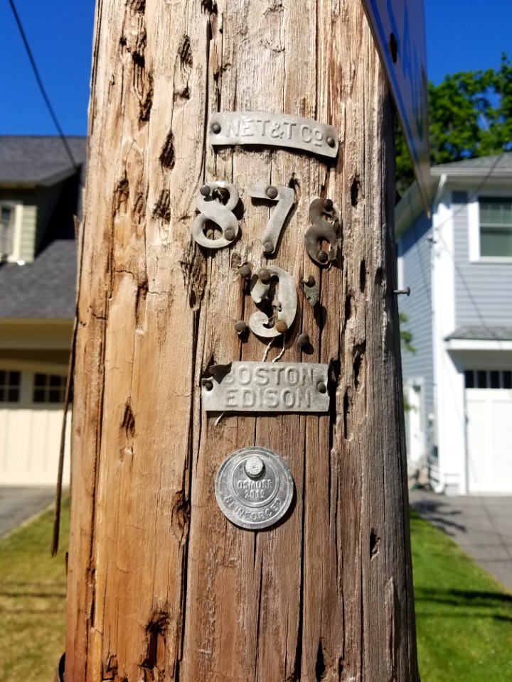 Utility pole - Arlington, MA - 20200620 093450