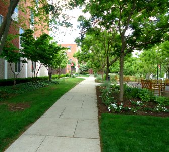 UU Rutgers University pathway College Avenue campus