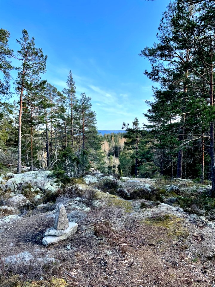 Utterviks naturreservat 2021 Östersjön