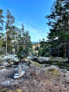 Utterviks naturreservat 2021 Östersjön