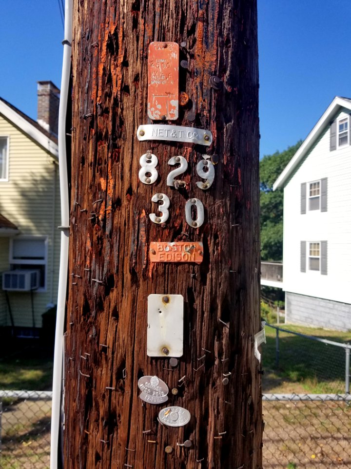 Utility pole - Arlington, MA - 20200904 100815