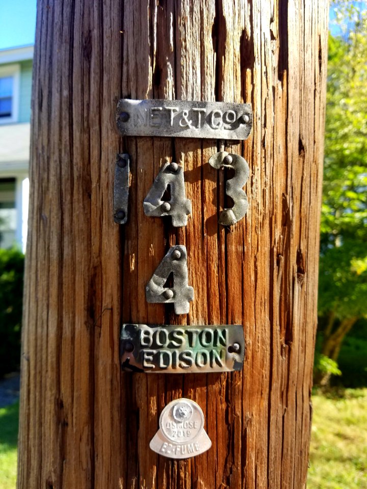 Utility pole - Arlington, MA - 20200830 084808