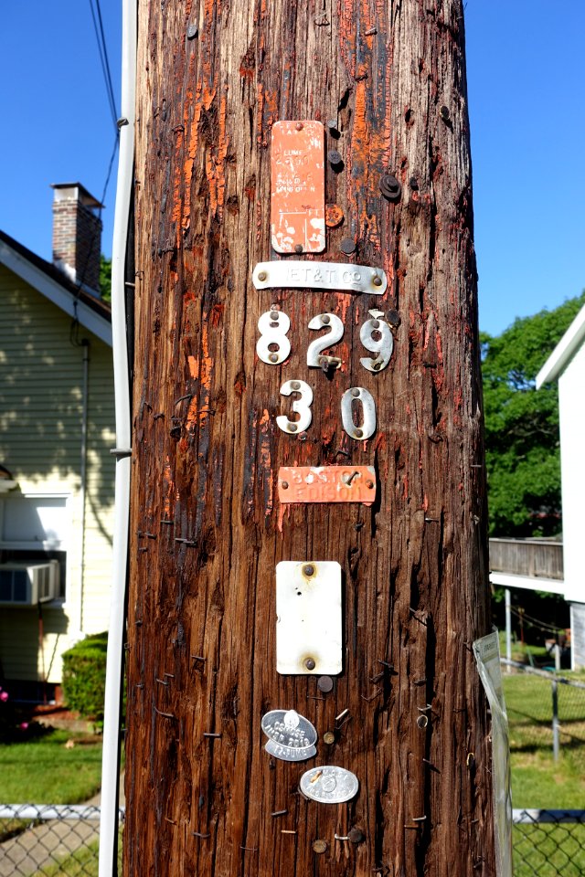 Utility pole - Arlington, MA - DSC02247