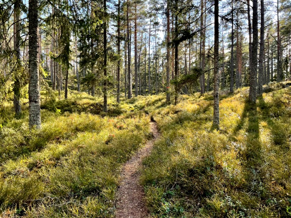 Utterviks naturreservat 2021 Sörmlandsleden