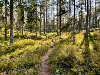 Utterviks naturreservat 2021 Sörmlandsleden