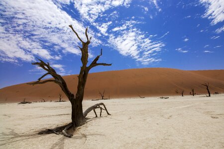 Africa namibia sand photo