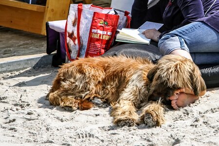 Relax enjoy sand beach