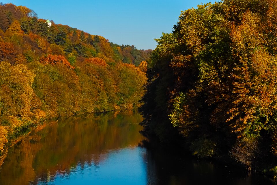 Landscape forest farbenspiel