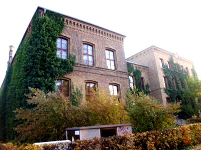 Unter den Linden 11 4