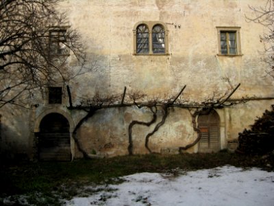 UntererYngramSouth1