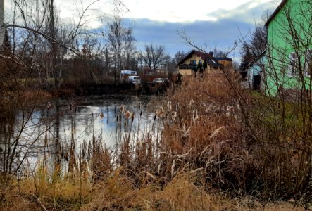 Untermaschwitz Teich