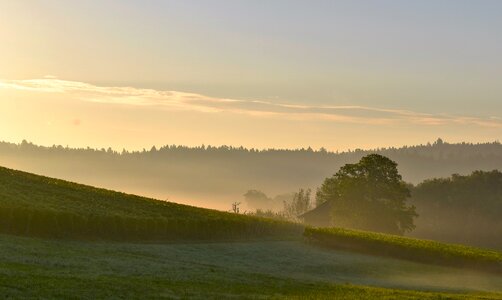 Landscape backlighting morning