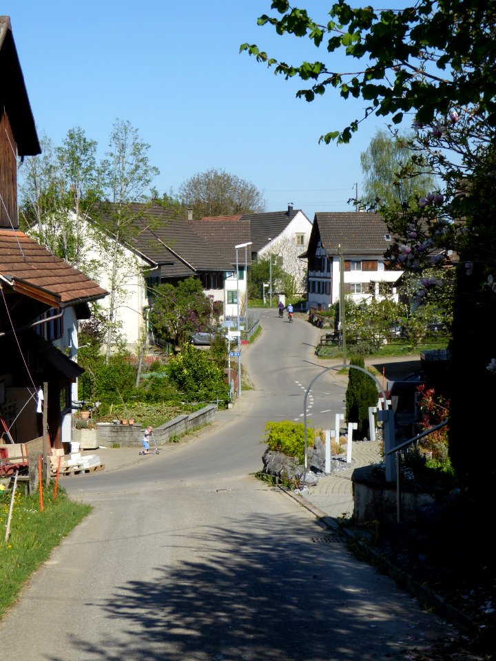 Unteroppikon TG