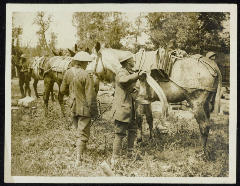 Unloading bombs from a pack mule, Bestanddeelnr 158-0936