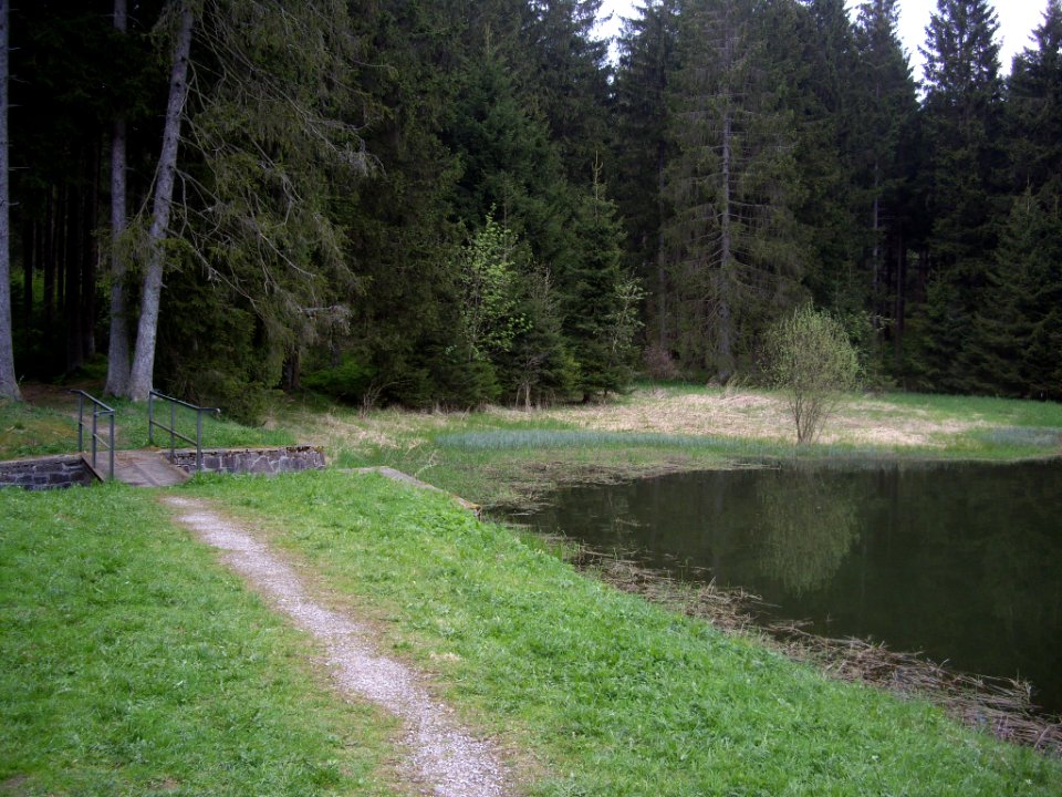Unterer-Flambacher-Teich-10