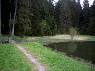 Unterer-Flambacher-Teich-10