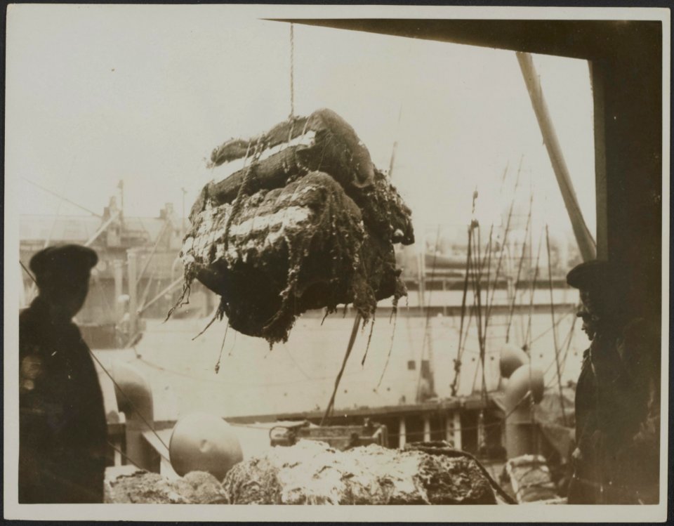 Unloading cotton from a ship at the docks, Bestanddeelnr 158-2679