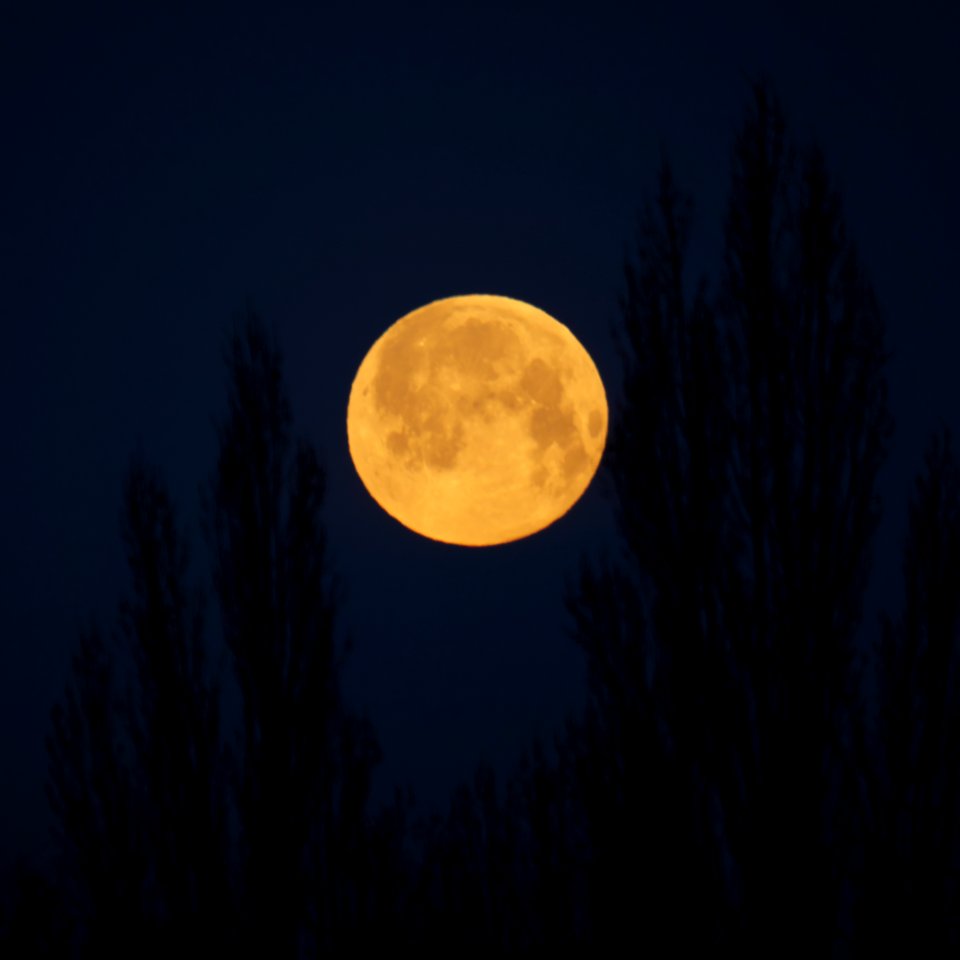 Untergehender.Vollmond.P1080530