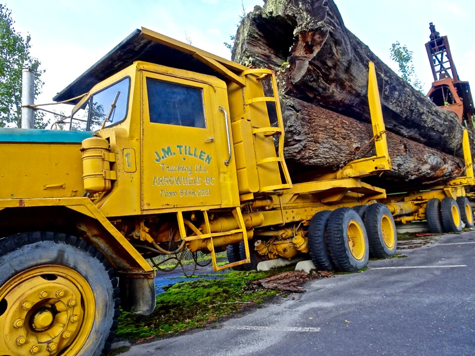 Wood vehicle logging