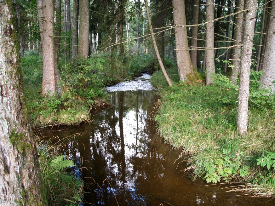 Unterer Schwarzenbach (02)