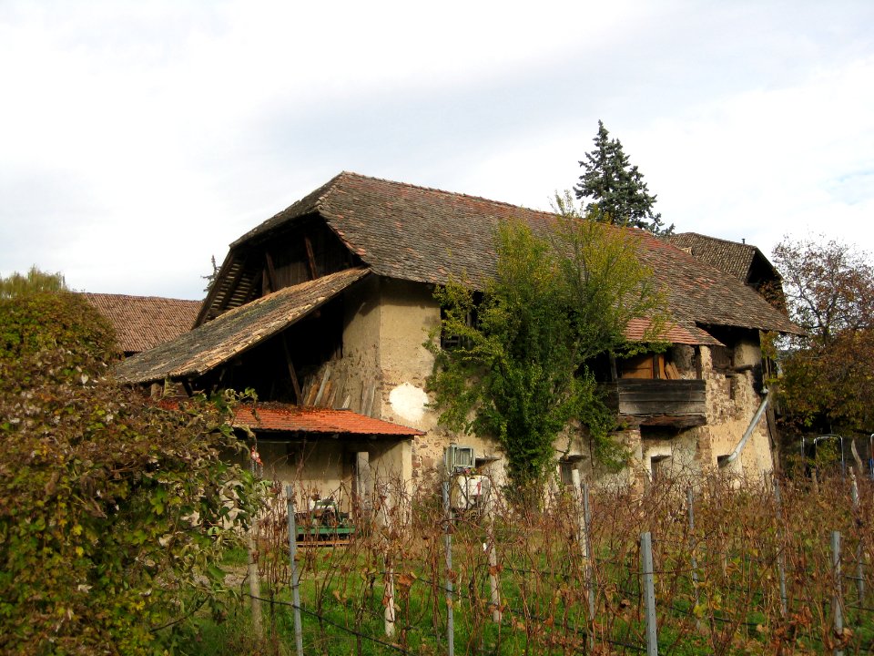 Unterer Pardeniger in Montiggl 6