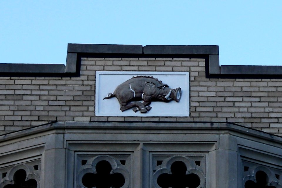 University of Arkansas Campus 08