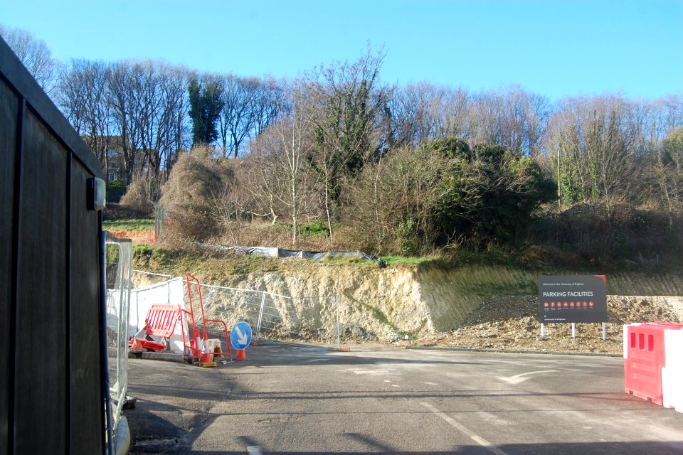University of Brighton (Approach Road to New Car Park), Lewes Road, Moulsecoomb (February 2020) (3)