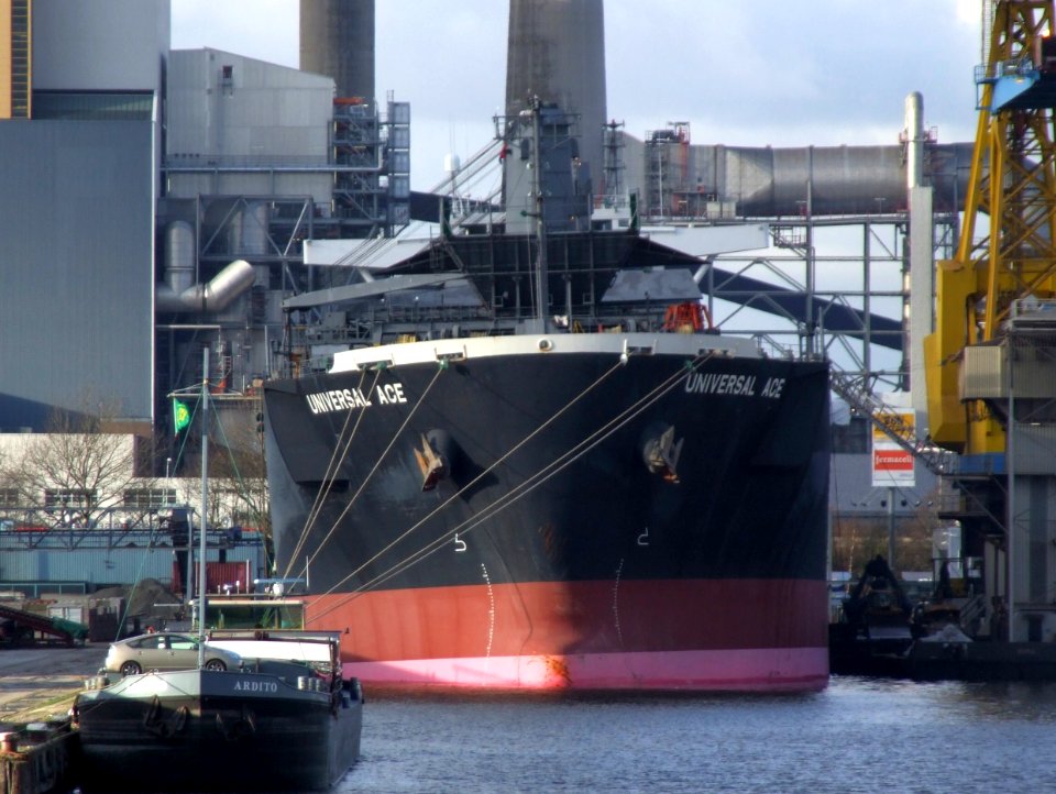 UNIVERSAL ACE, Wood Chips Carrier - IMO 9272979