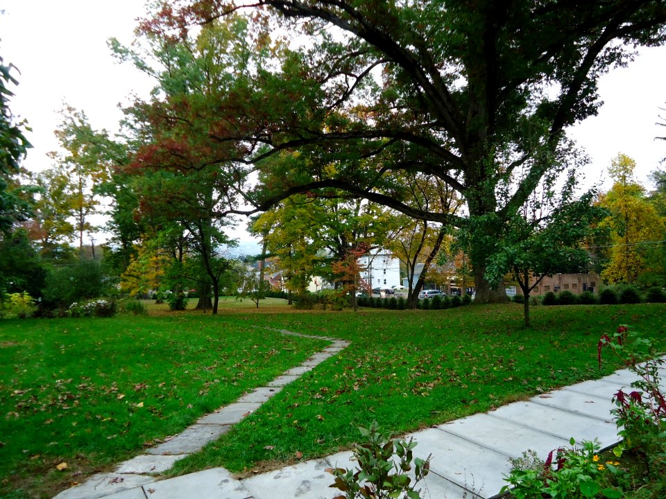 University of Massachusetts at Amherst campus view tree and pathways