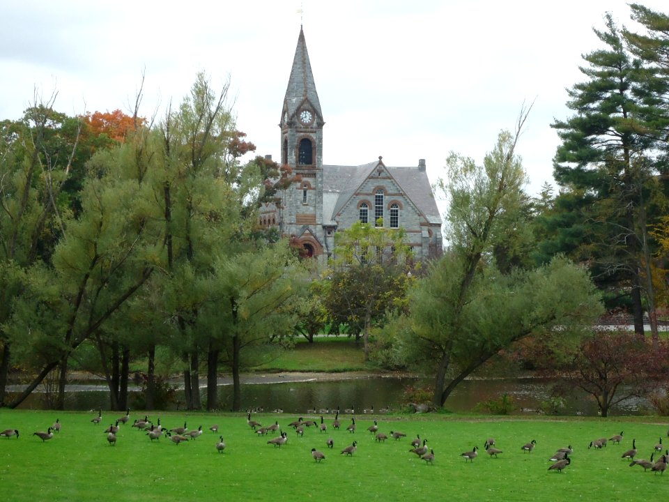 University of Massachusetts at Amherst campus view geese and lake and chapel