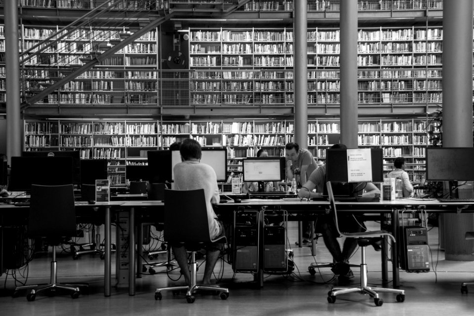 University Library (39920404)