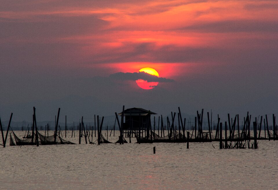 The sun sunset king