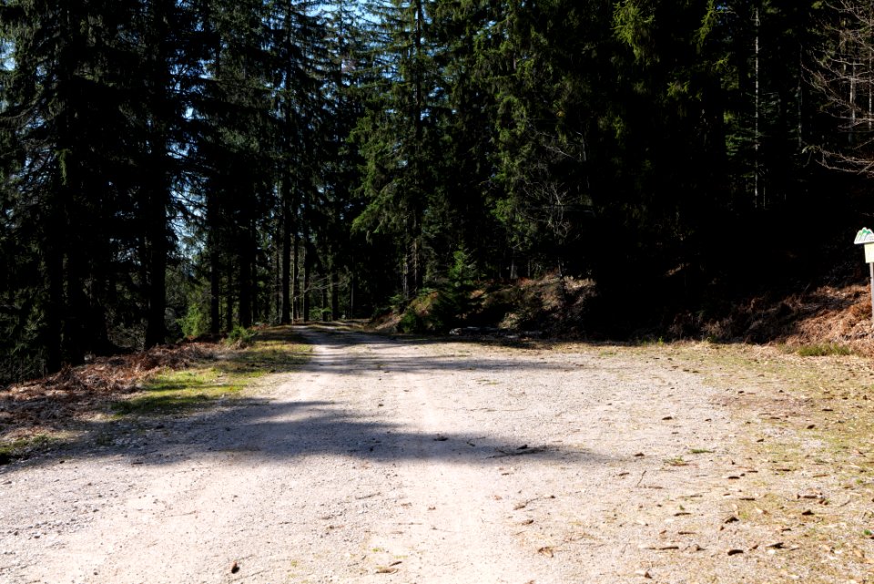 Untere Birkenaustraße 2020-03-15 08