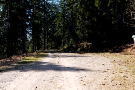 Untere Birkenaustraße 2020-03-15 08