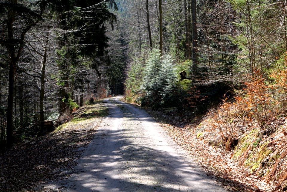 Untere Birkenaustraße 2020-03-15 01