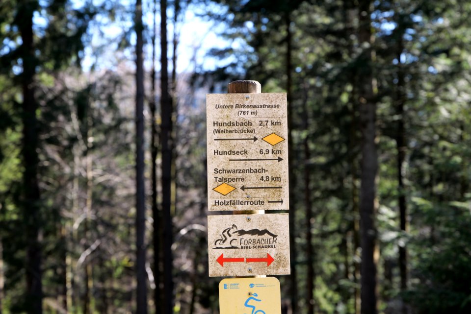 Untere Birkenaustraße 2020-03-15 16